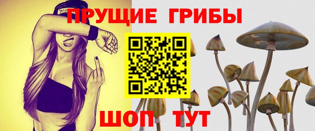 Псилоцибиновые грибы мицелий  Вход с VPN  Бузулук 